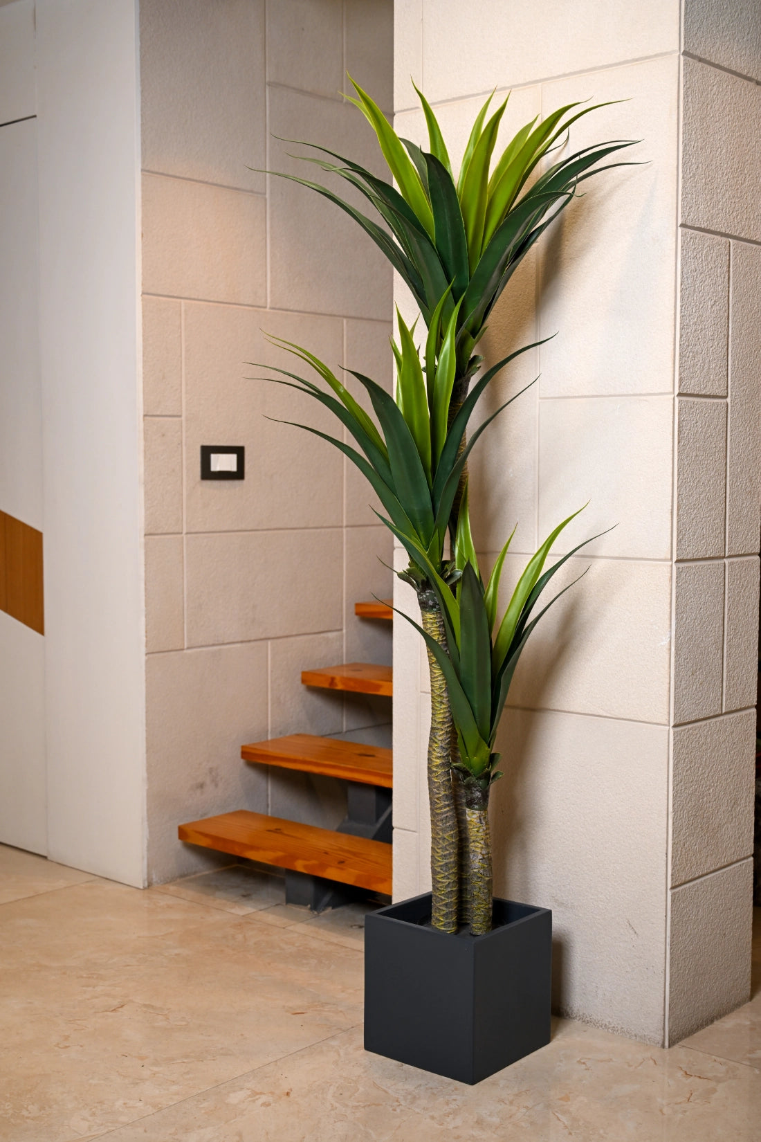 5.6ft Yucca Cactus 3 Head Artificial (Faux) Plant