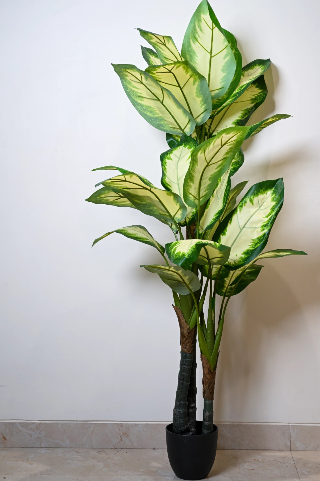 5ft White Dieffenbachia Artificial (Faux) Plant