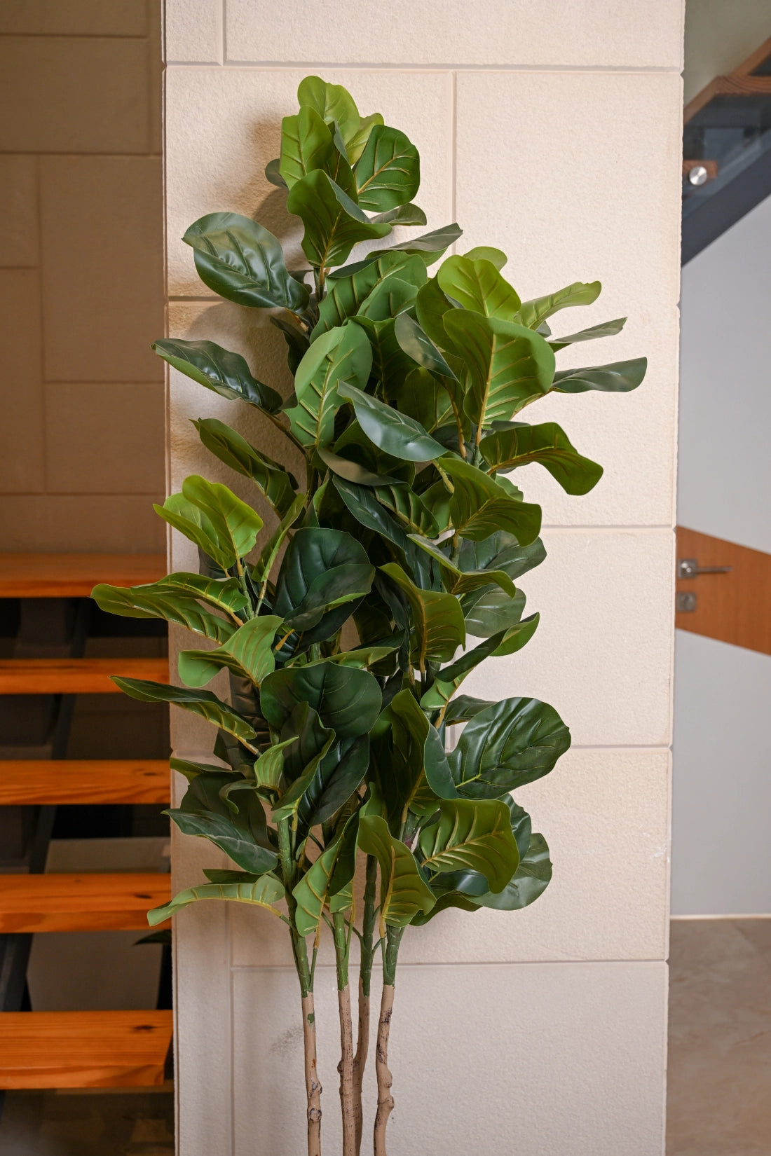 6ft Fiddle Leaf Artificial (Faux) Plant