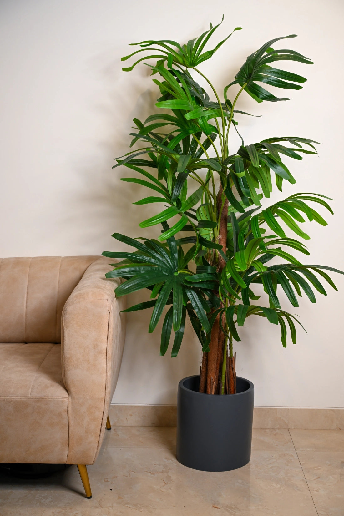 6ft Raphis Palm Artificial (Faux) Tree