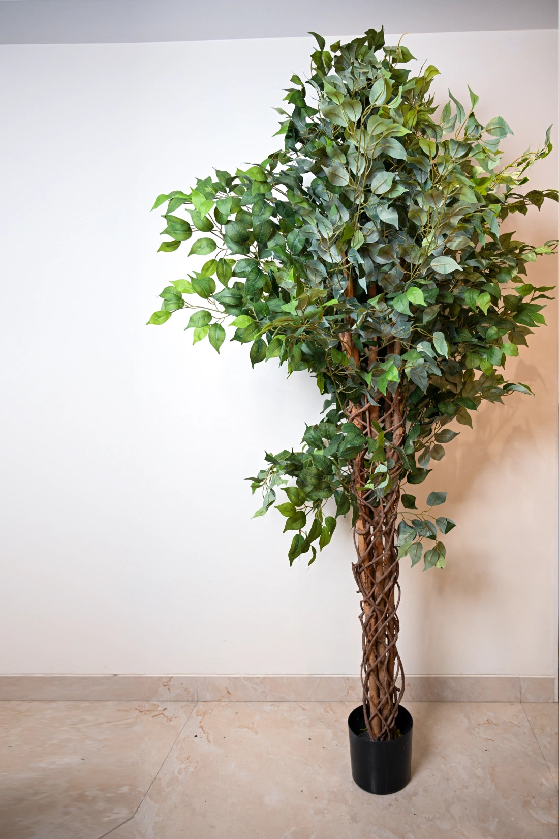 7ft Black Ficus Artificial Tree