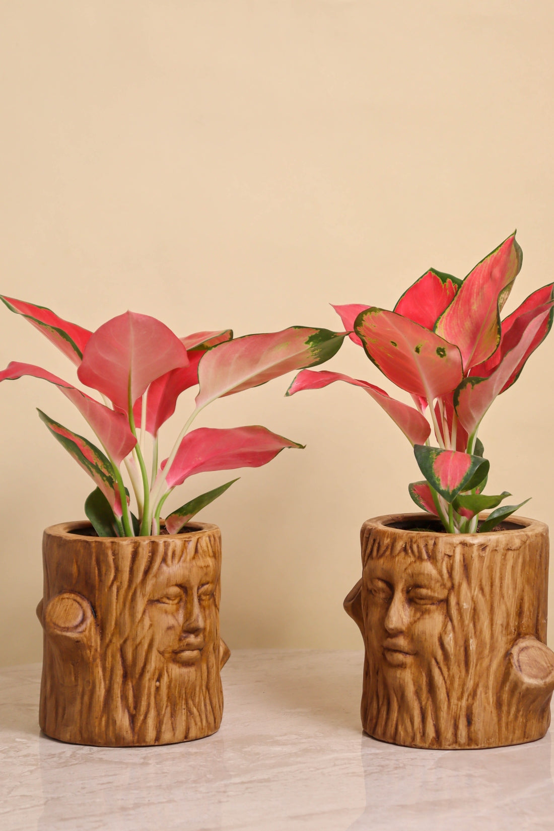 Antique Tree King Pot (set of 2)