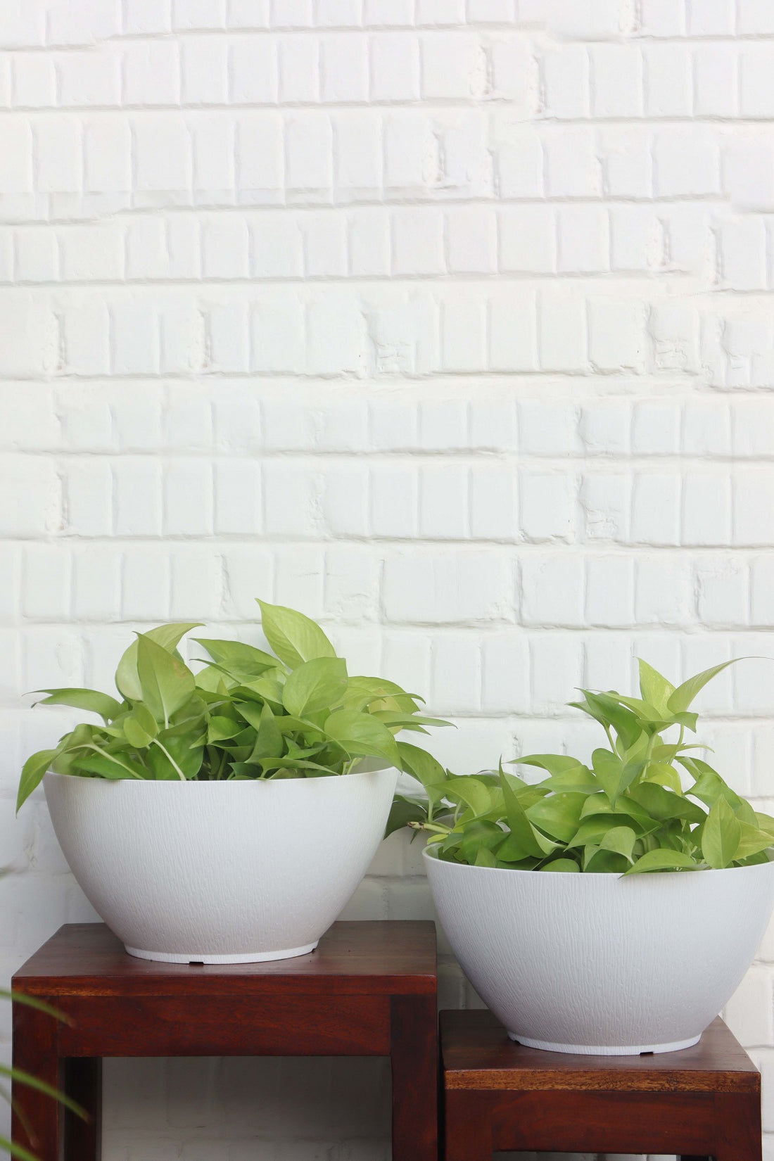 Ara 32 Pot (set of 2)