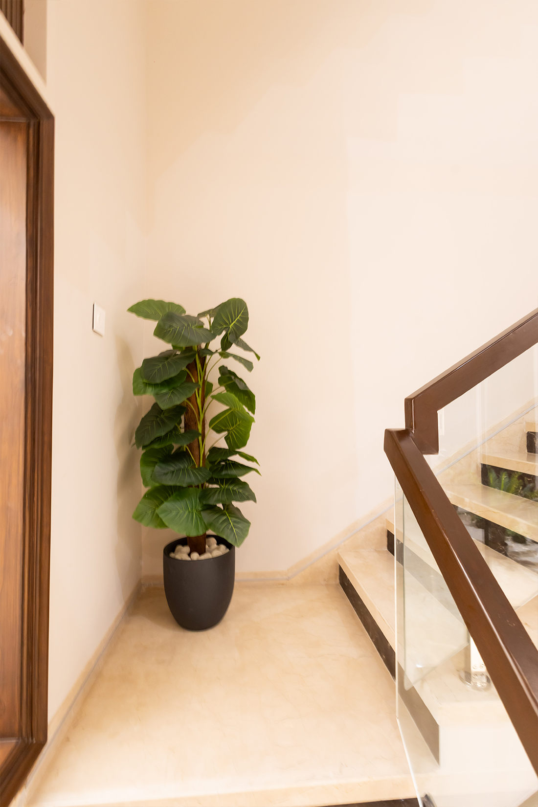Artificial Money Plant with Moss Stick