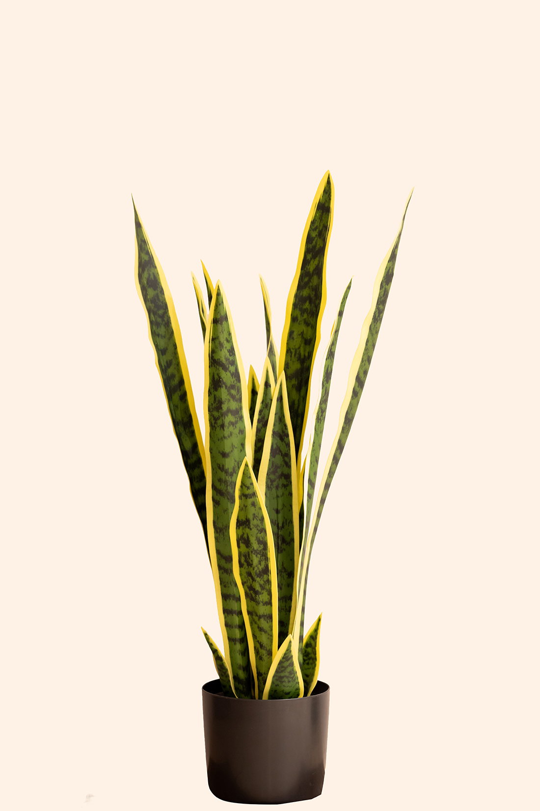 Artificial Snake Plant