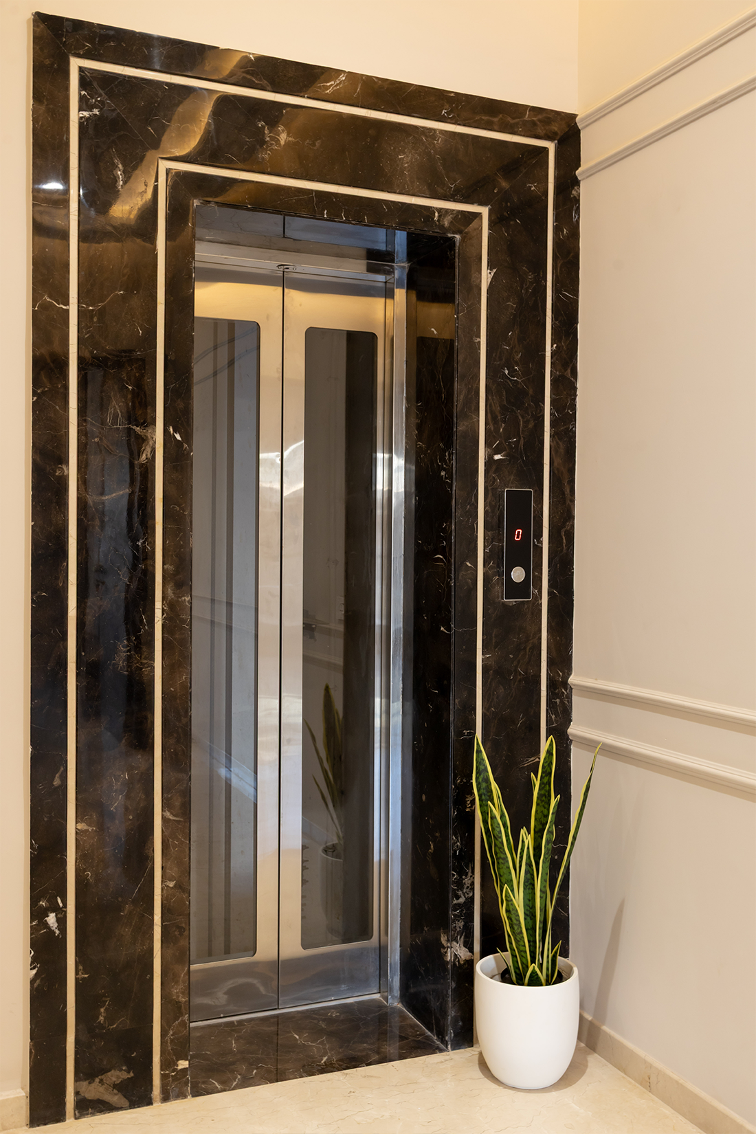 Artificial Snake Plant