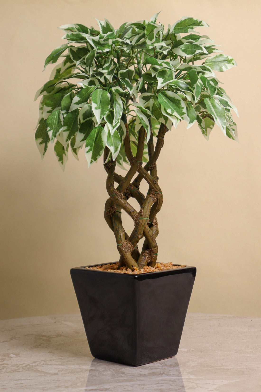 Artificial Ficus in Ceramic Pot