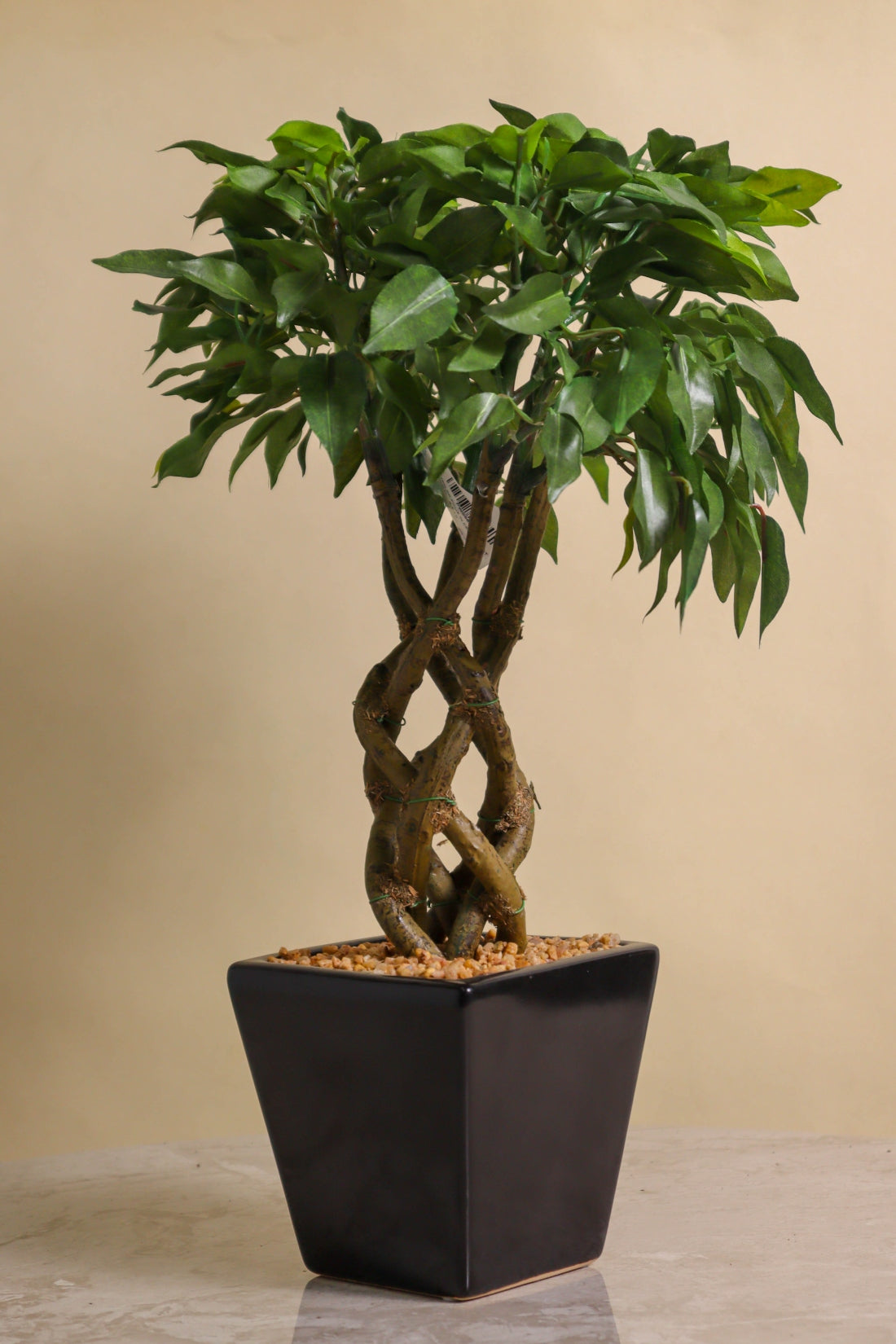 Artificial Ficus in Ceramic Pot