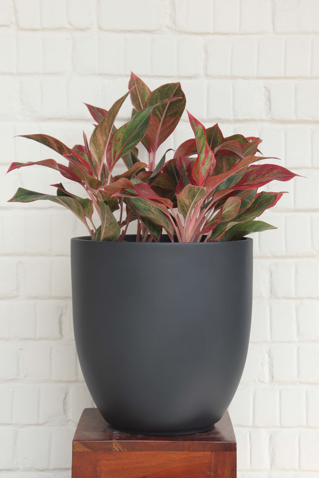 Chalice Planter