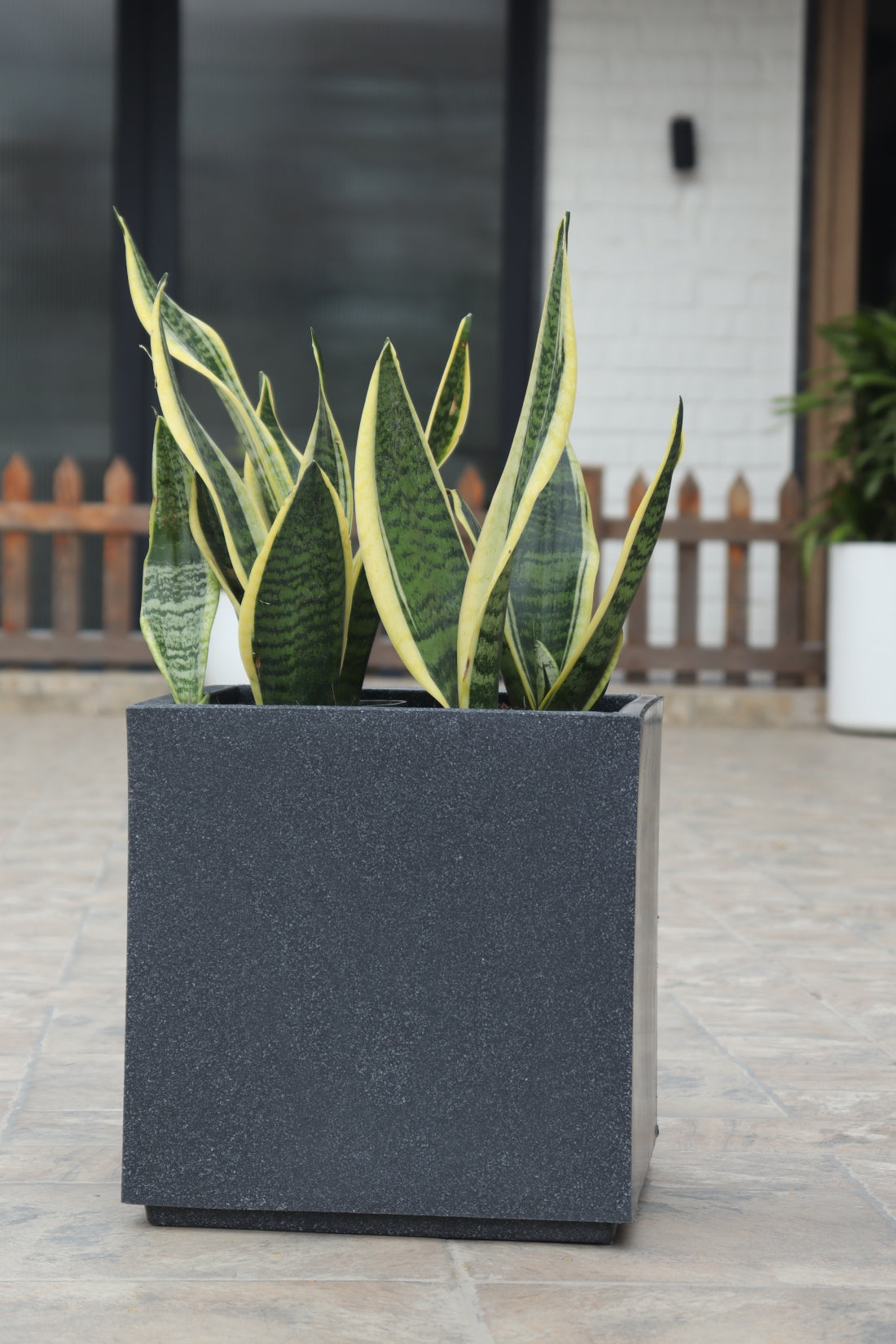 Cubo Planter
