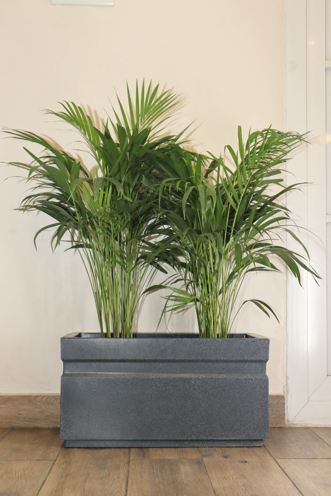 GT/ Rectangle Planter
