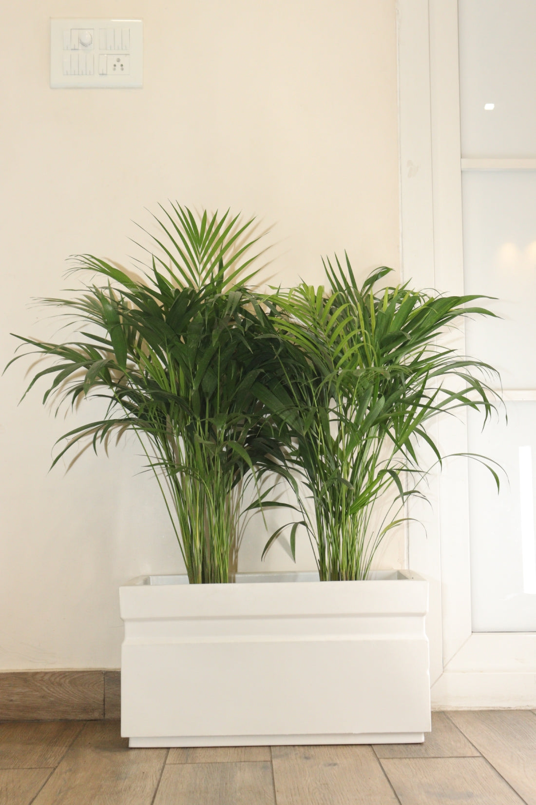 GT/ Rectangle Planter