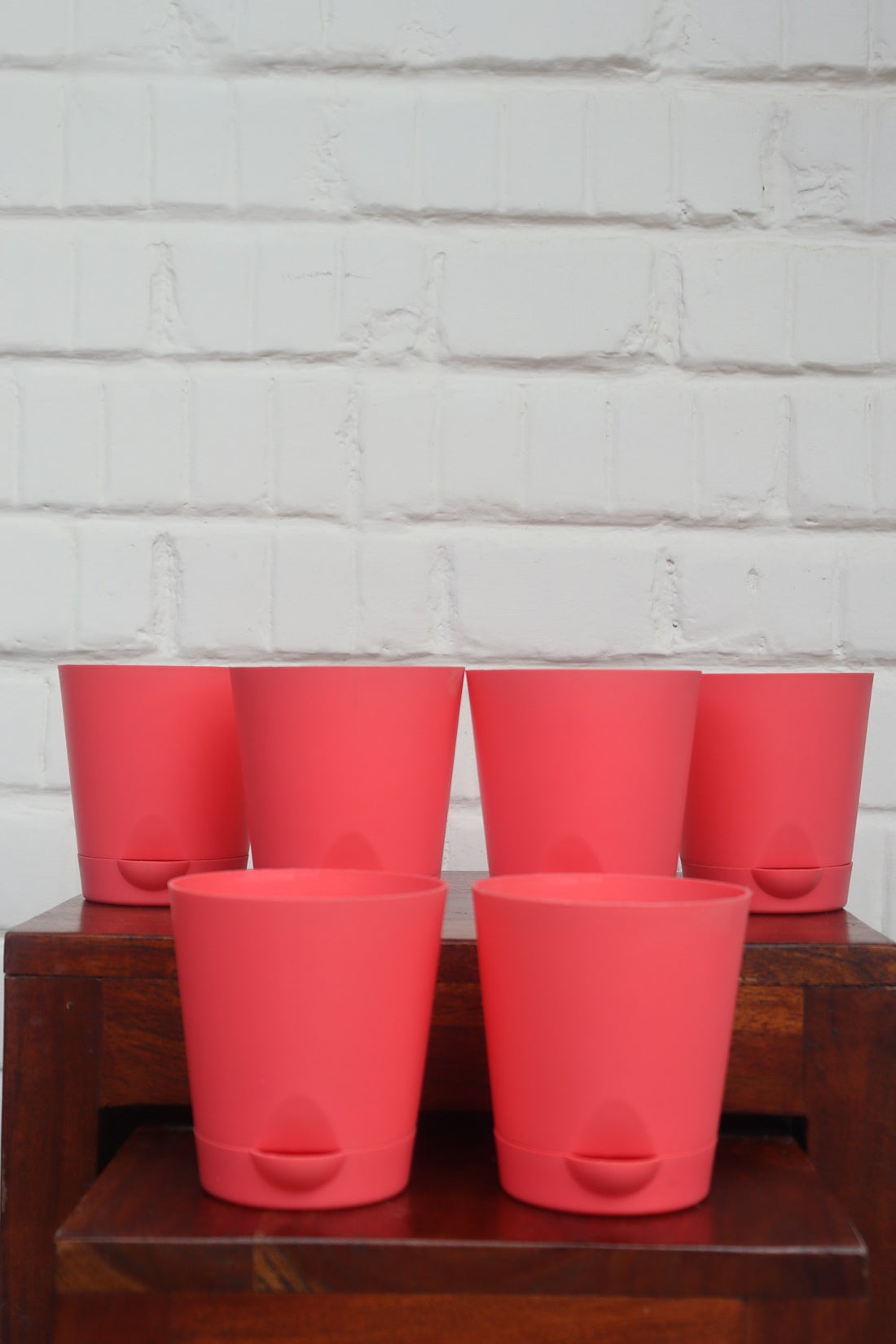 Krish Pot (Set Of 6)