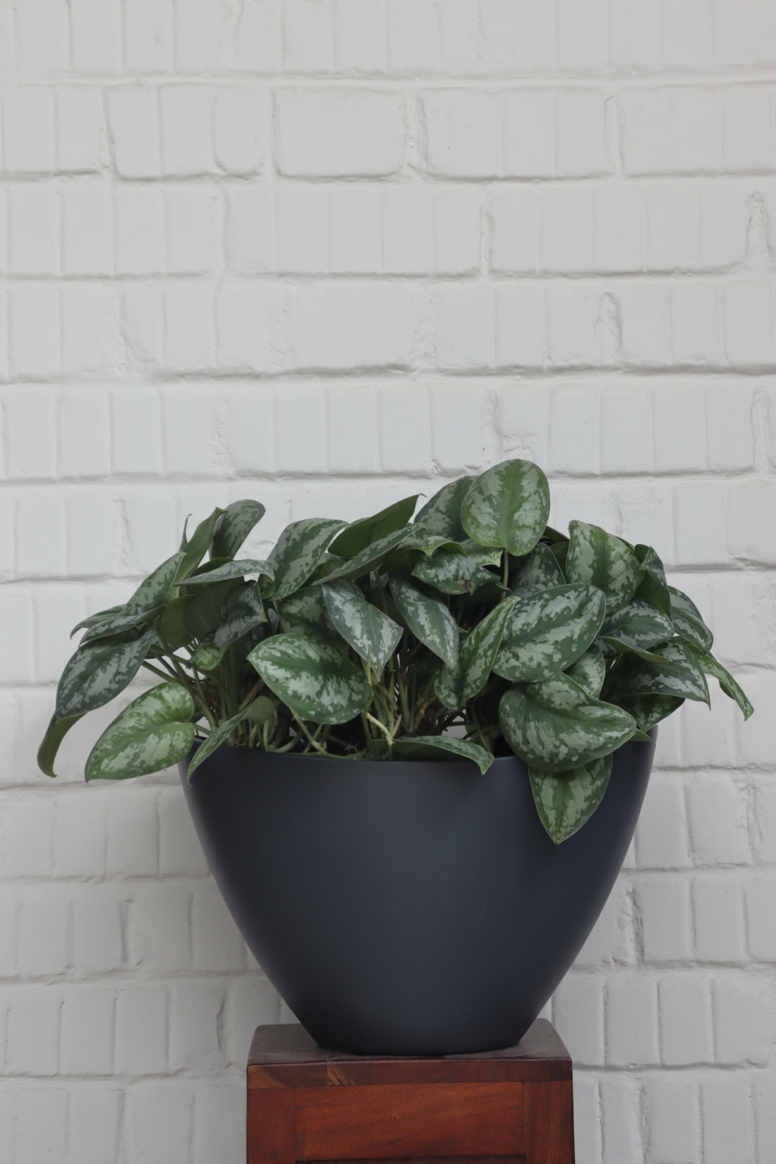NAV KTR Planter