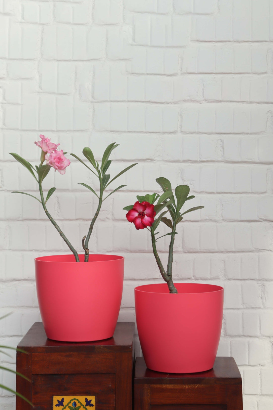 Ronda Big Pot (Set of 2)