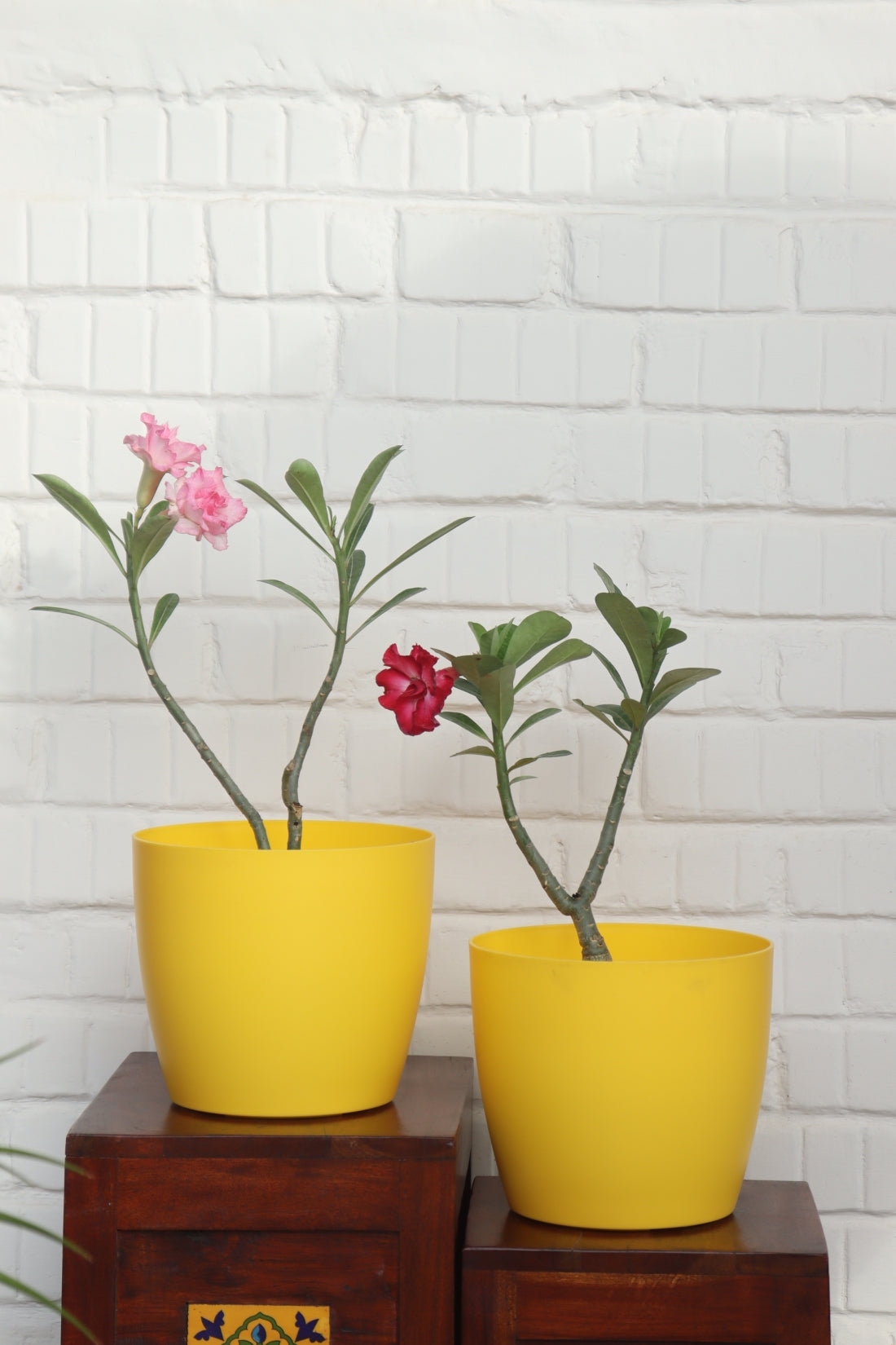 Ronda Big Pot (Set of 2)