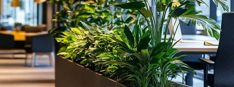 Artificial Plants for Offices That Make Workspaces Feel More Inviting