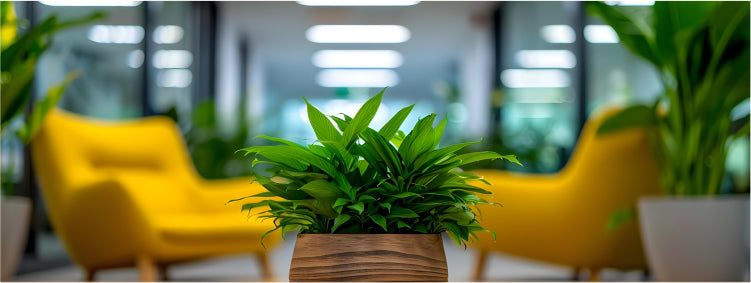 Benefits of Artificial Plants in Your Office & Ideas to Style Them