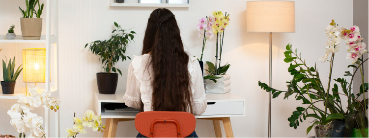 Benefits of Having Indoor Plants in Your Workspace