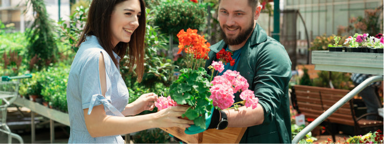 Can Gifting Plants Strengthen Relationships?