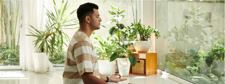 How Indoor Plants Improve Mental Health?