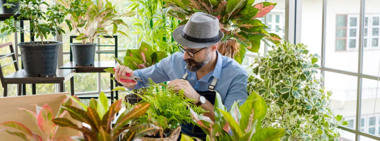 Sustainability in Indoor Gardening