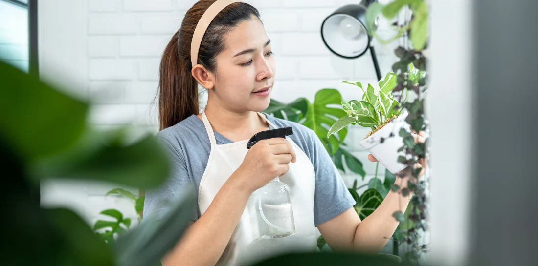 How Living with Plants Can Help You Overcome Asthma and Anxiety?