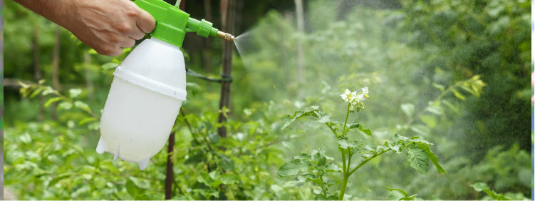 NPK 10:10:10 Fertilizer Explained: How NPK Essential Feeds Foliage, Flowers & Fruit