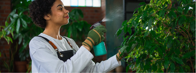 Neem Bliss: How to Control Garden Pests Naturally with Organic Neem Spray