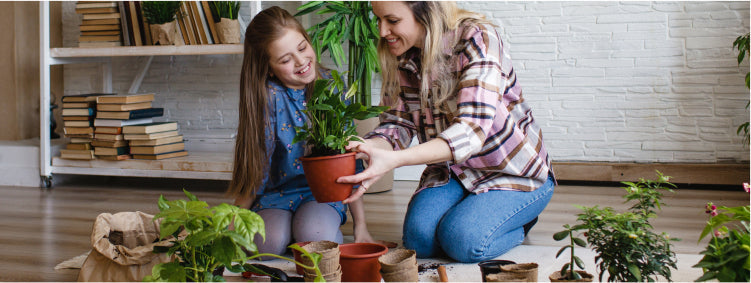Plant Care 101