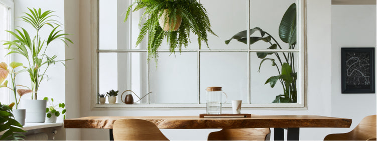 Plastic and Nature: Can Sustainable Home Décor Make a Difference?