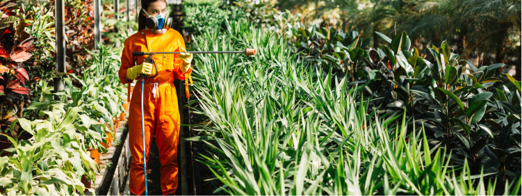 Proven Ways for Natural Pest Control for Plants