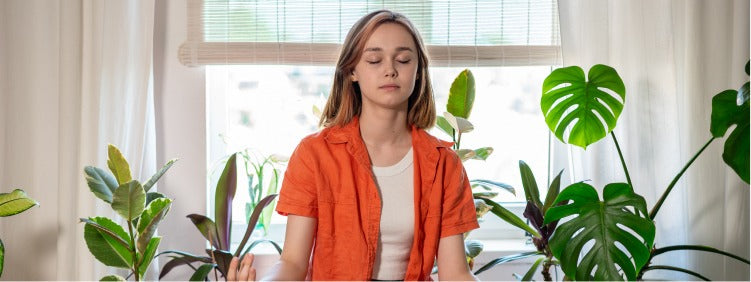 These 10 Plants Provide Positive Energy