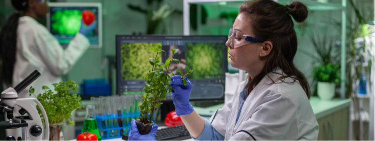 Understanding Micronutrient Deficiency in Plants