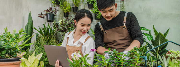 What to Know Before Buying Plants Online?