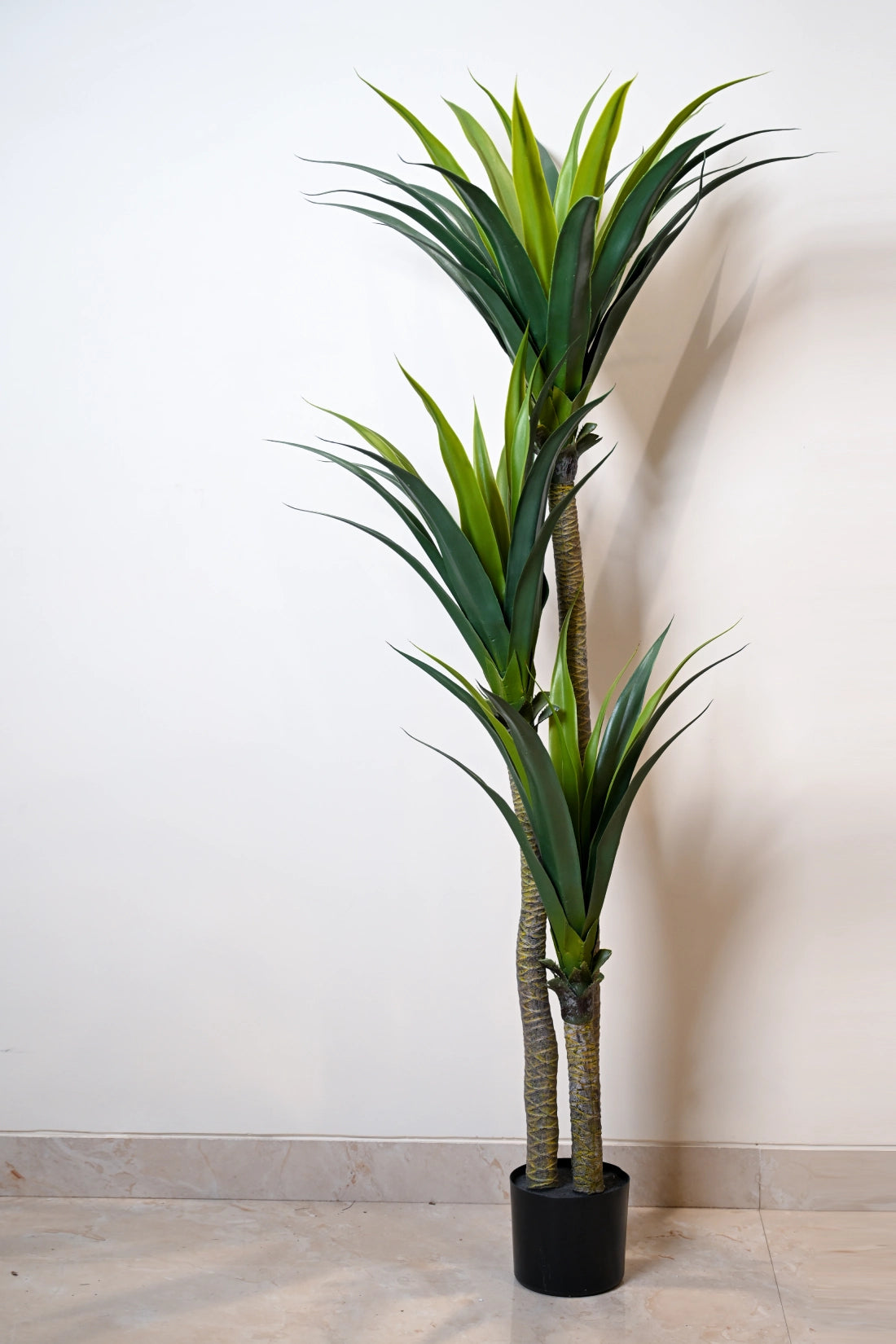 5.6ft Yucca Cactus 3 Head Artificial (Faux) Plant