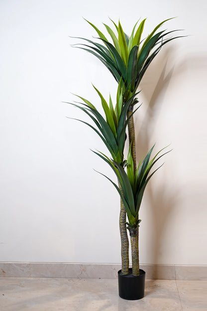 5.6ft Yucca Cactus 3 Head Artificial (Faux) Plant