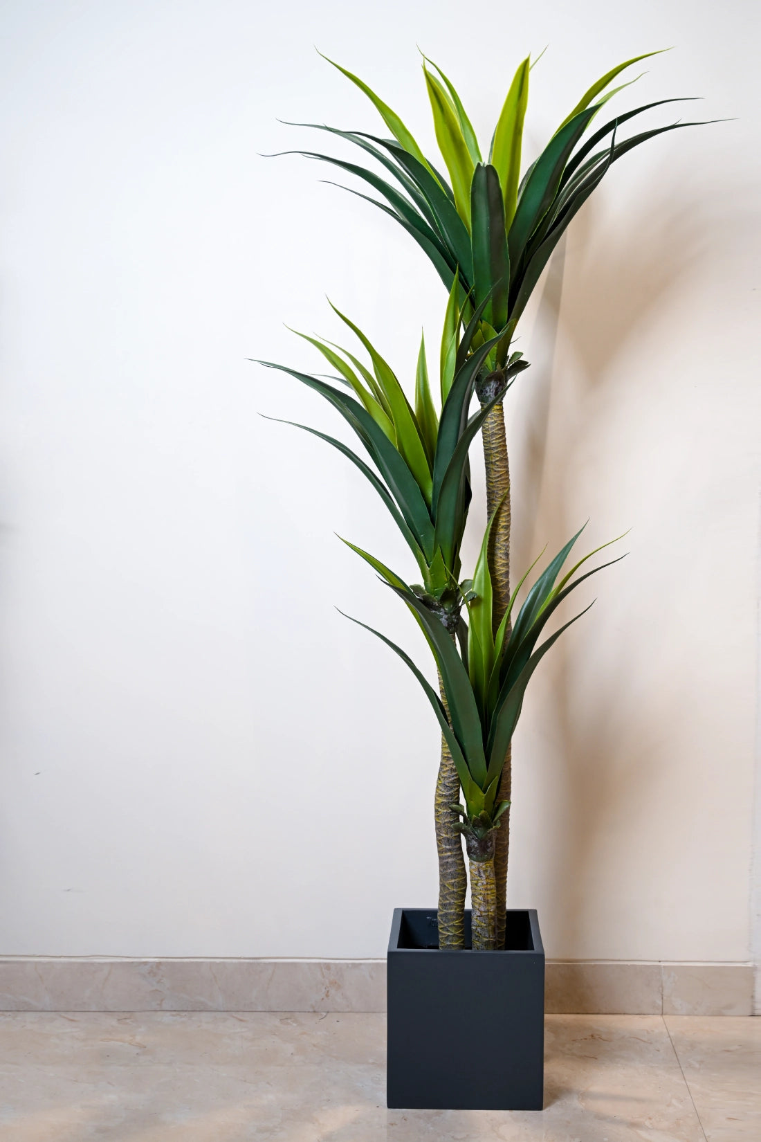 5.6ft Yucca Cactus 3 Head Artificial (Faux) Plant