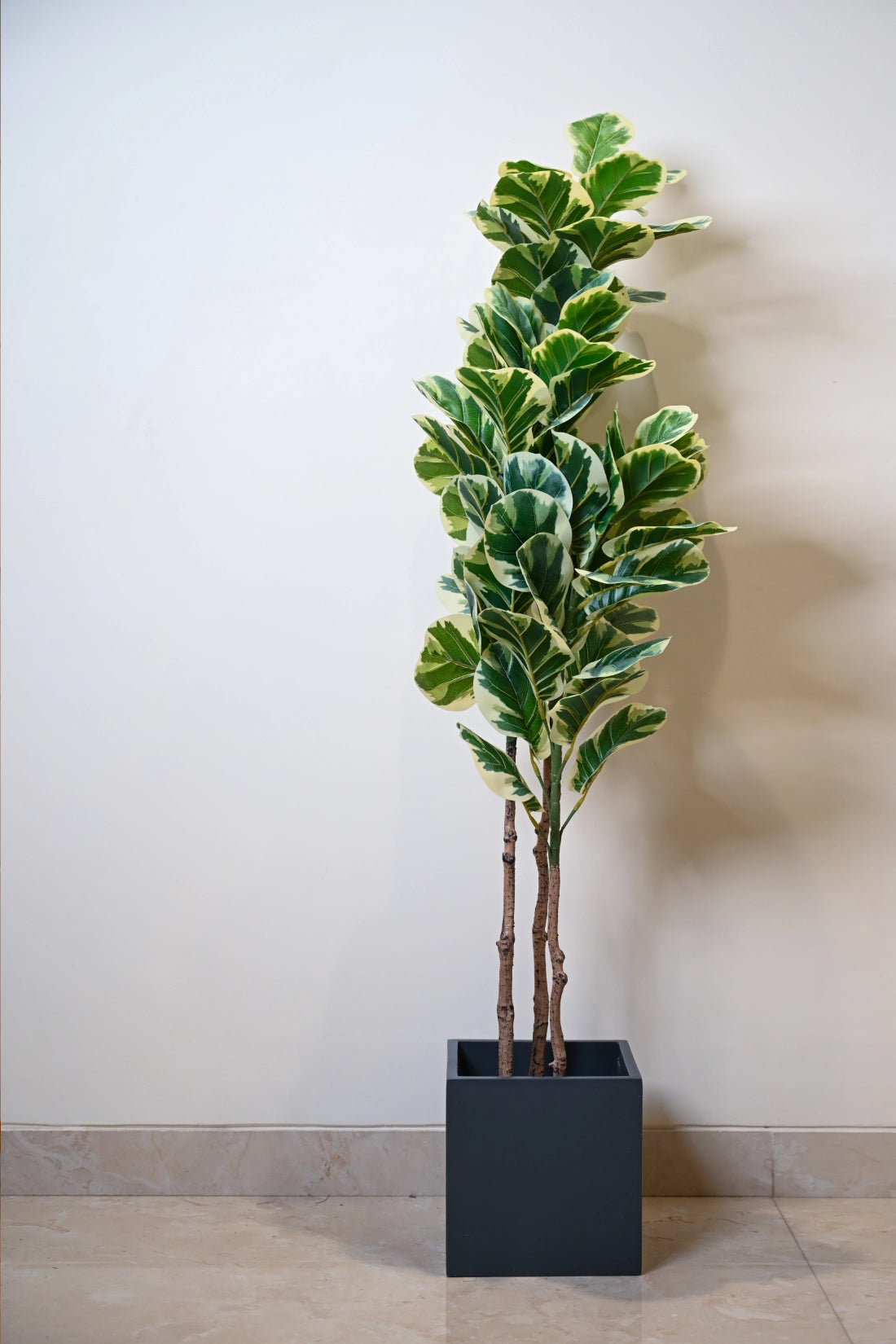5ft Variegated Fiddle Leaf Artificial (Faux) Plant