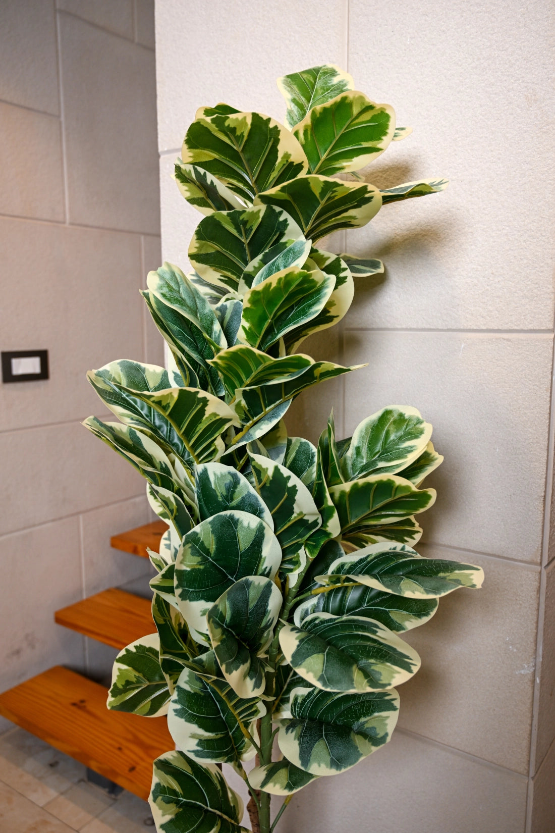 5ft Variegated Fiddle Leaf Artificial (Faux) Plant