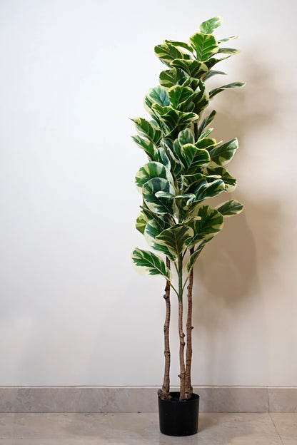 5ft Variegated Fiddle Leaf Artificial (Faux) Plant