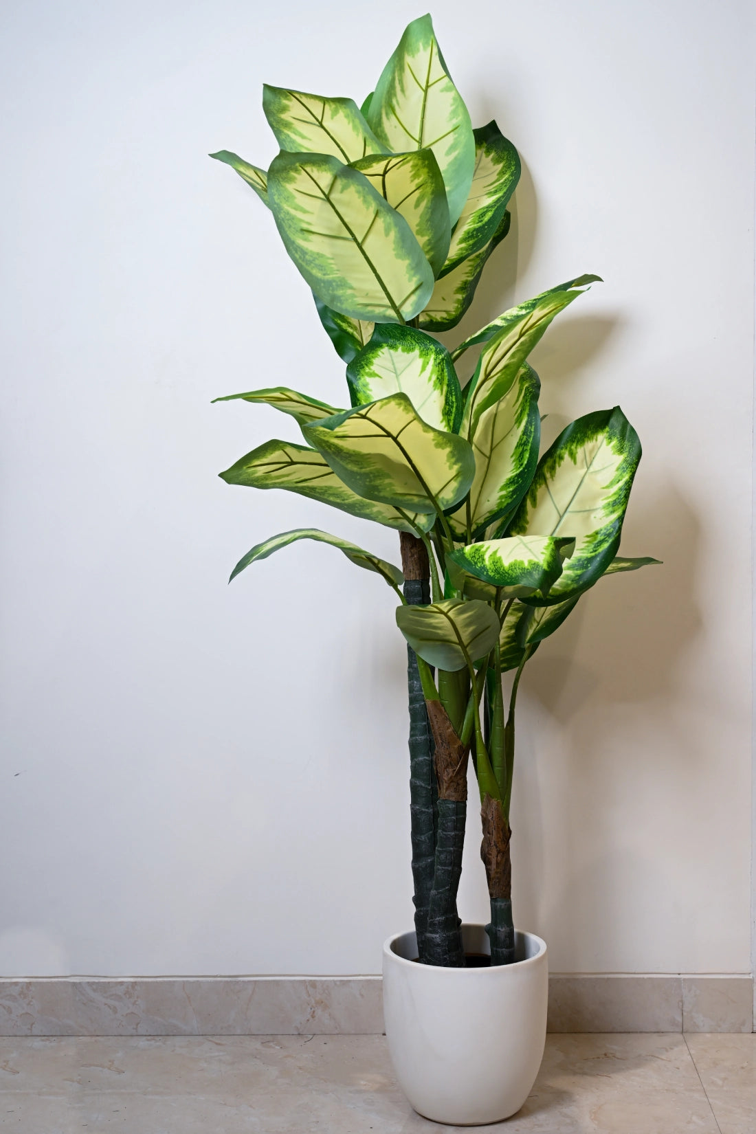 5ft White Dieffenbachia Artificial (Faux) Plant