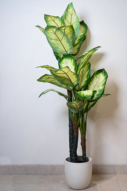 5ft White Dieffenbachia Artificial (Faux) Plant
