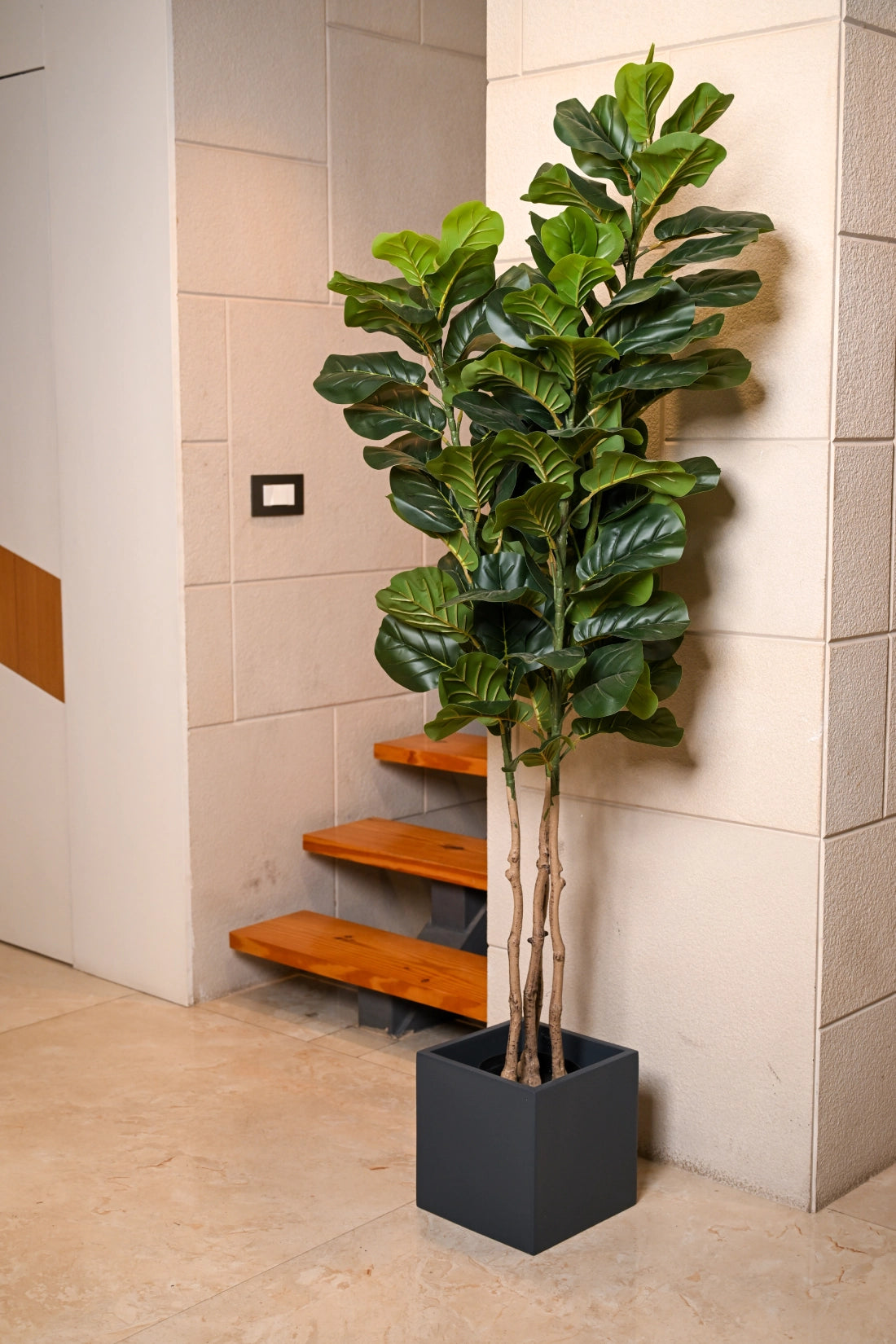 6ft Fiddle Leaf Artificial (Faux) Plant