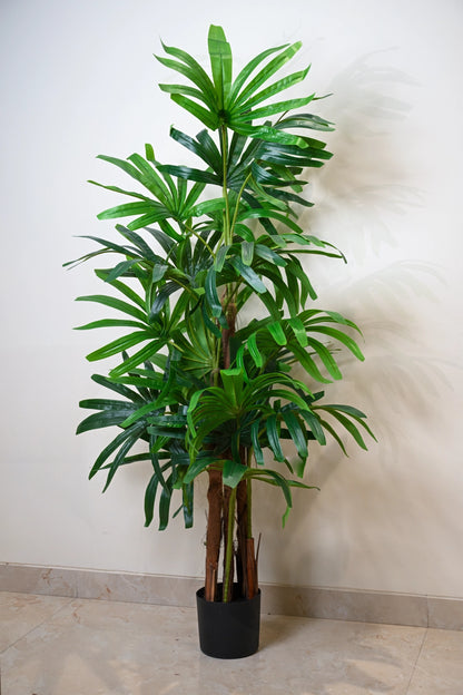 6ft Raphis Palm Artificial (Faux) Tree