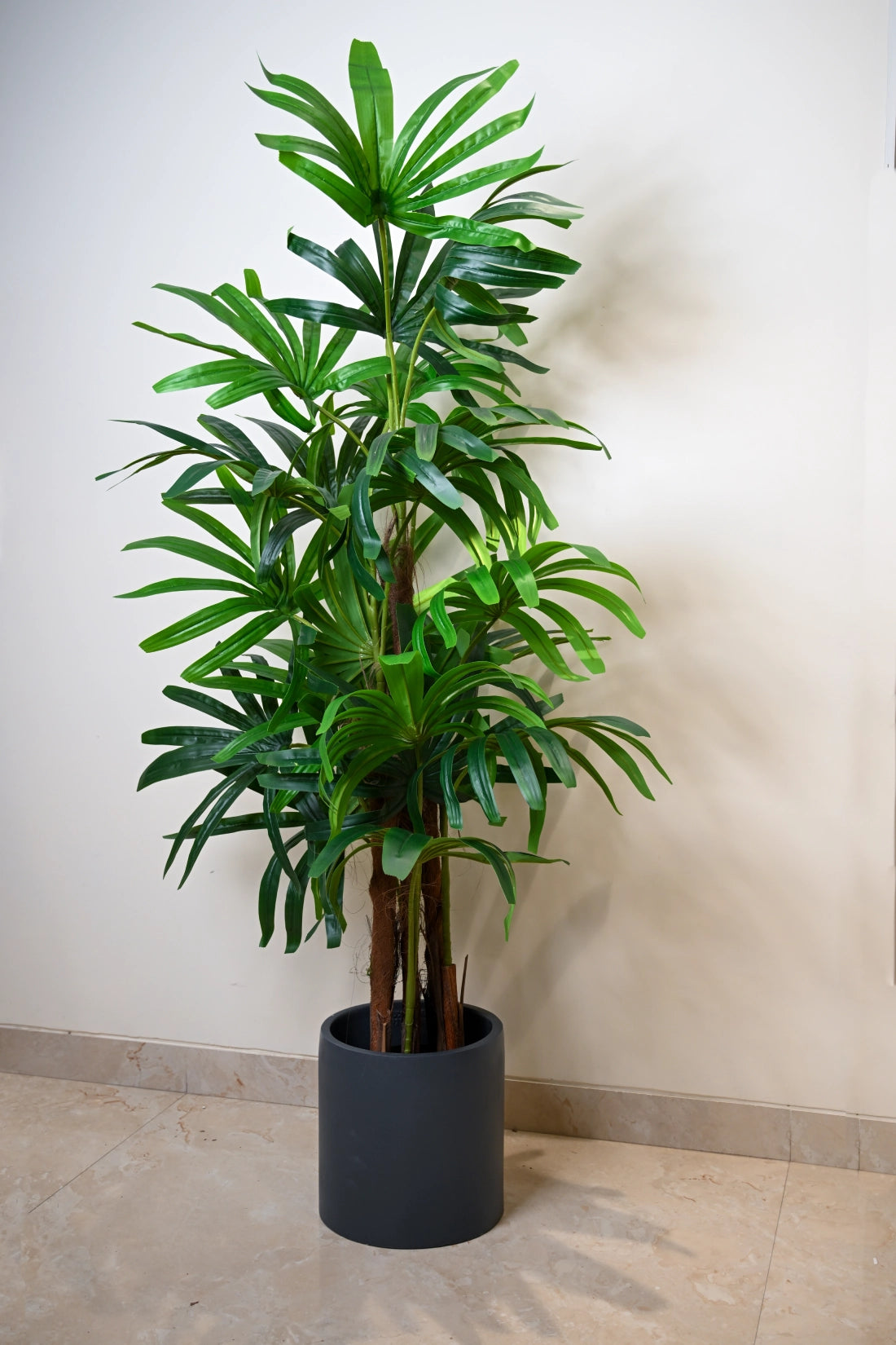6ft Raphis Palm Artificial (Faux) Tree