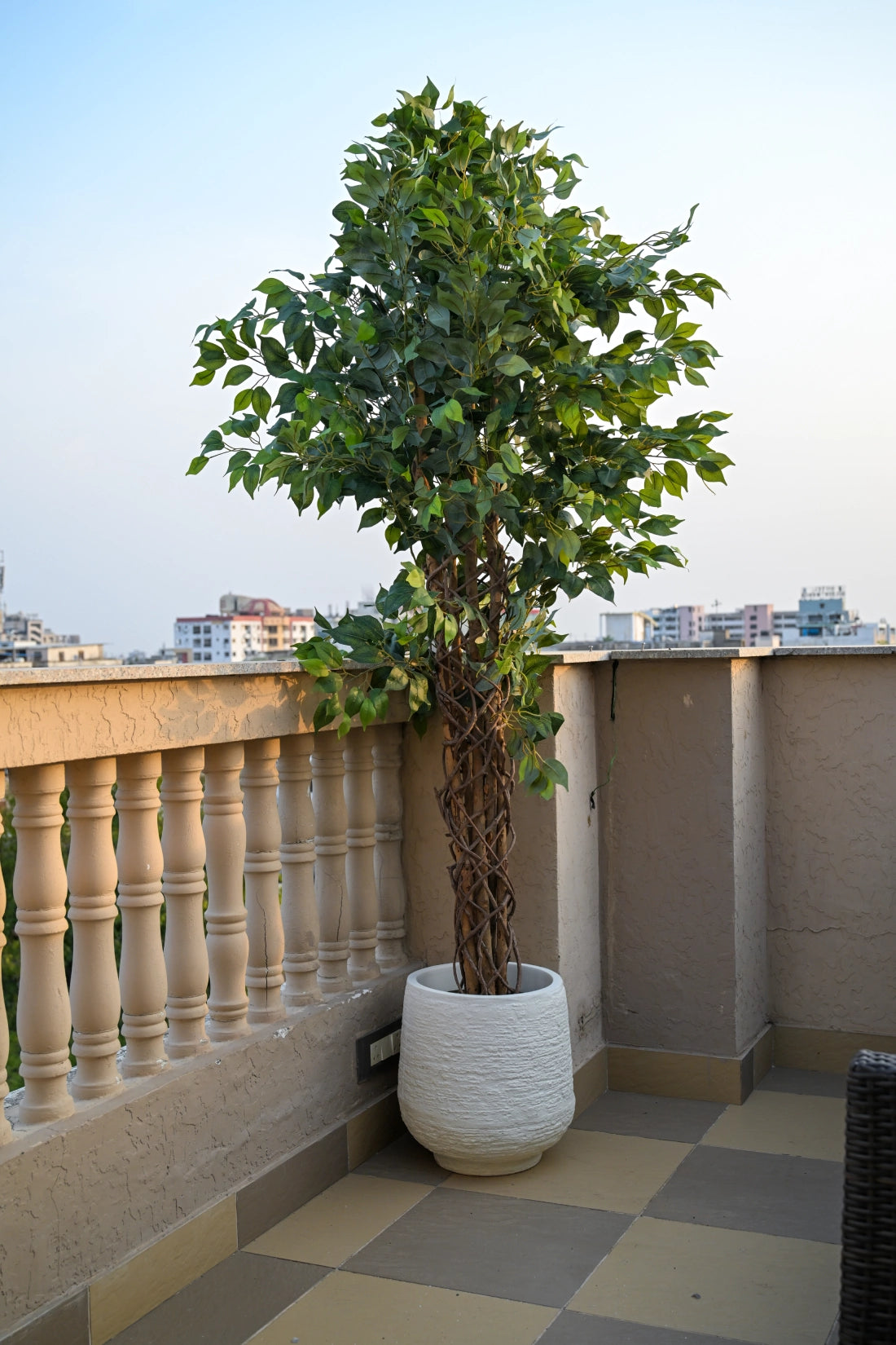 7ft Black Ficus Artificial Tree