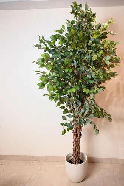 7ft Black Ficus Artificial Tree