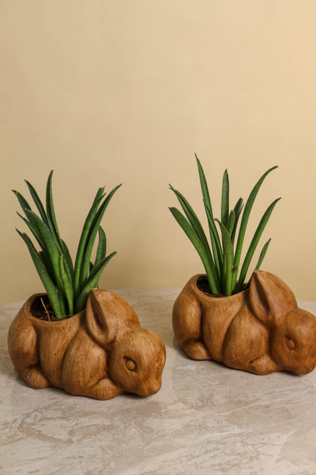 Antique Rabbit Pot (Set of 2)