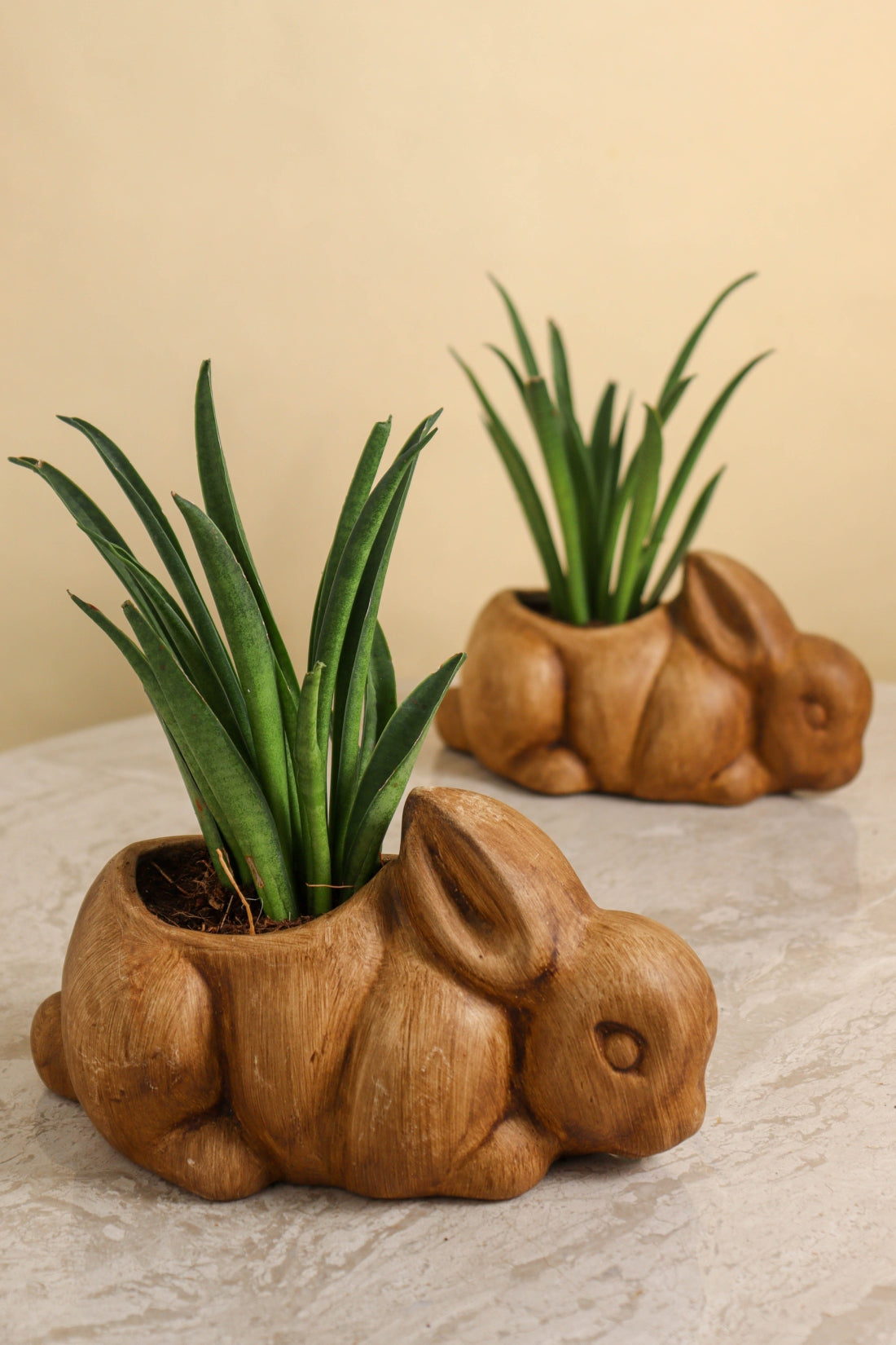 Antique Rabbit Pot (Set of 2)